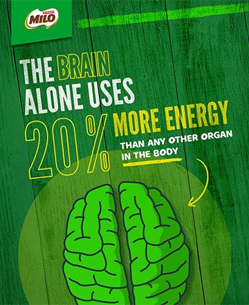 infographic_supports_energy_release
